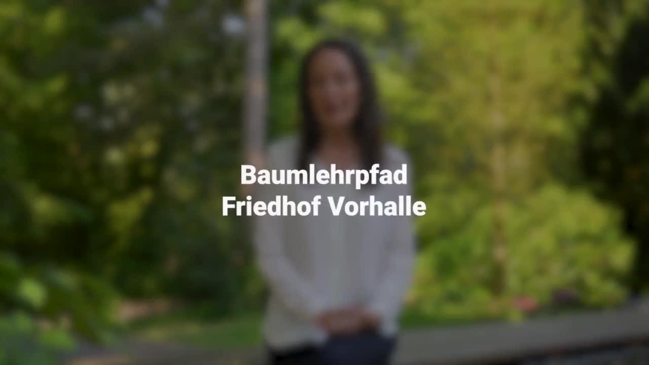 Erklärung im Video