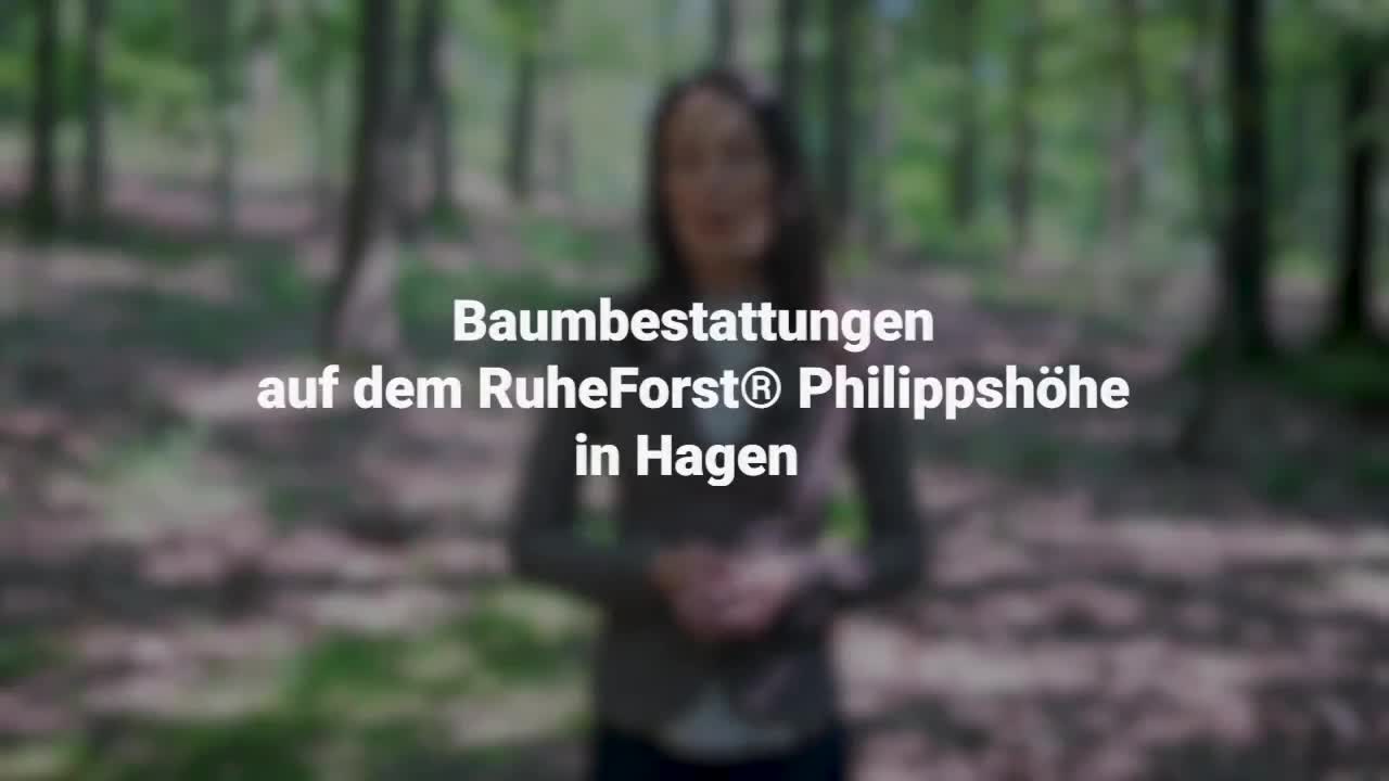 Erklärung im Video