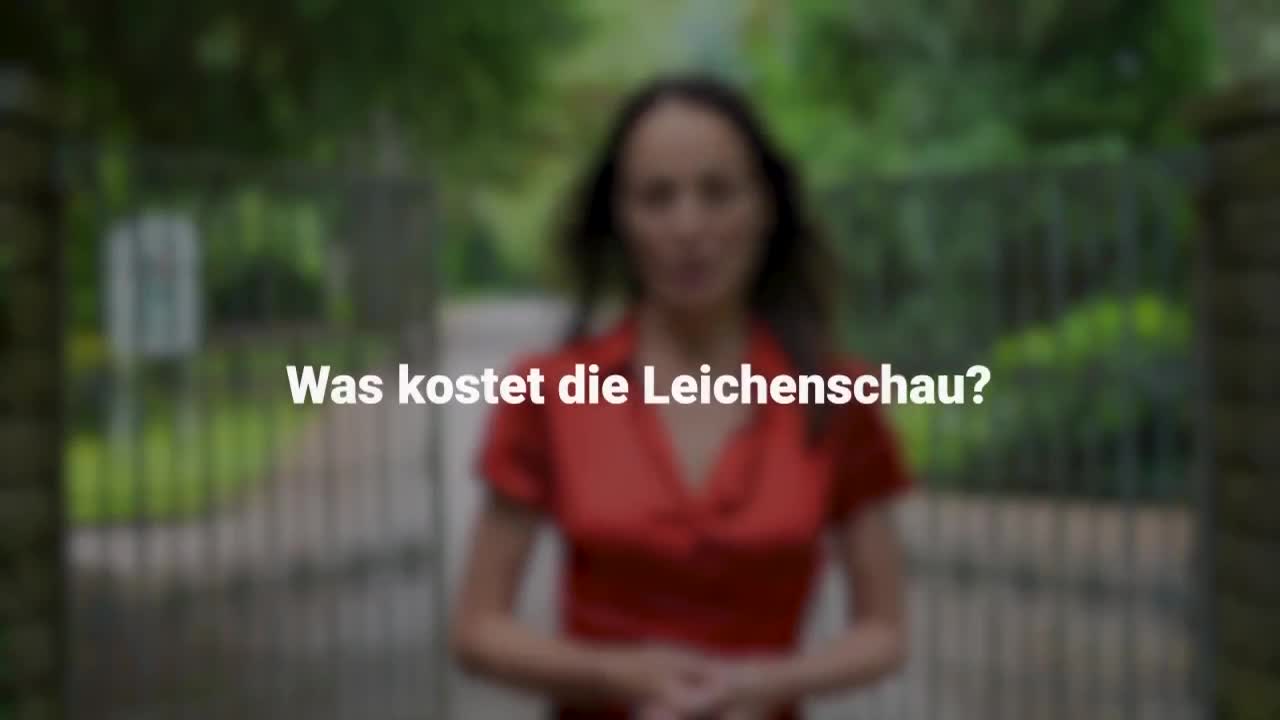 Erklärung im Video