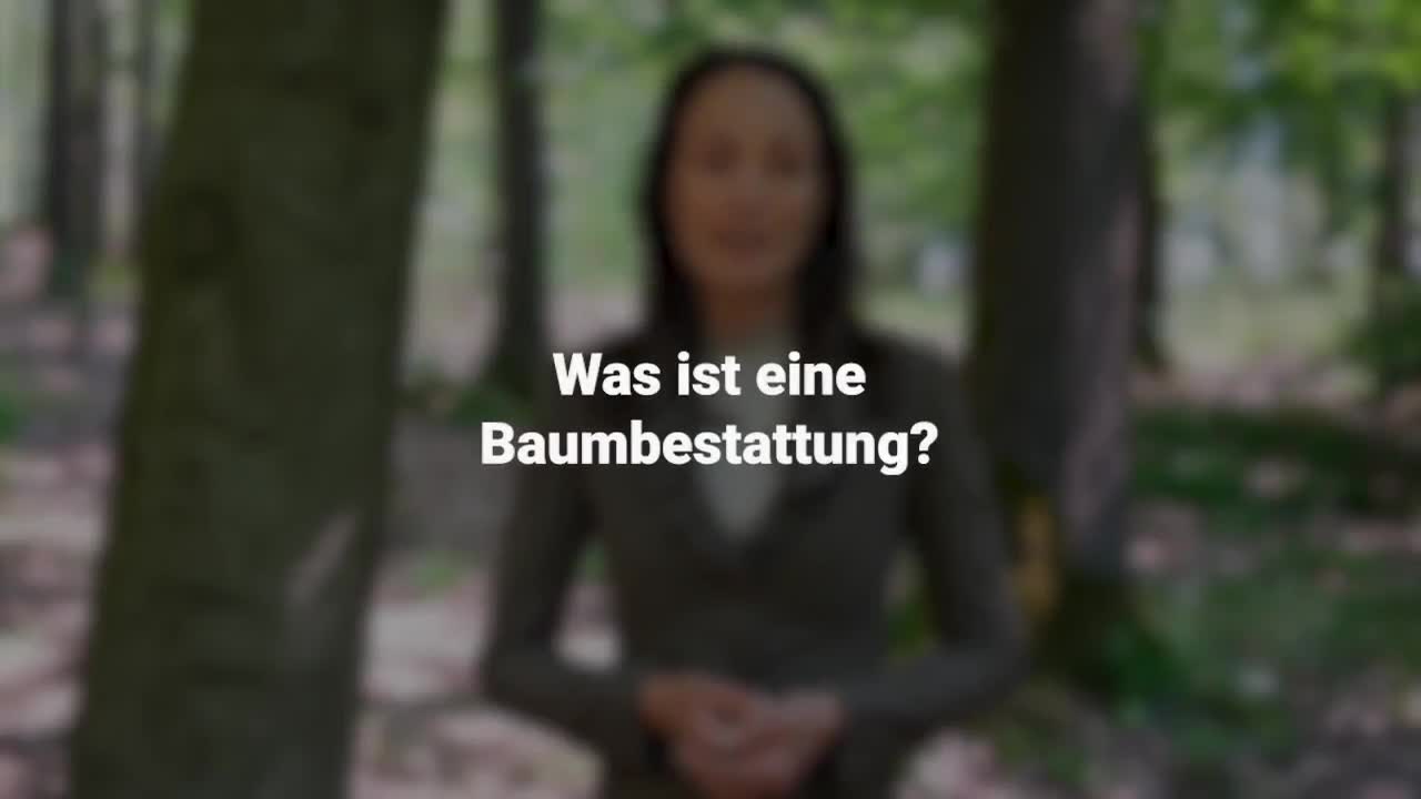 Erklärung im Video