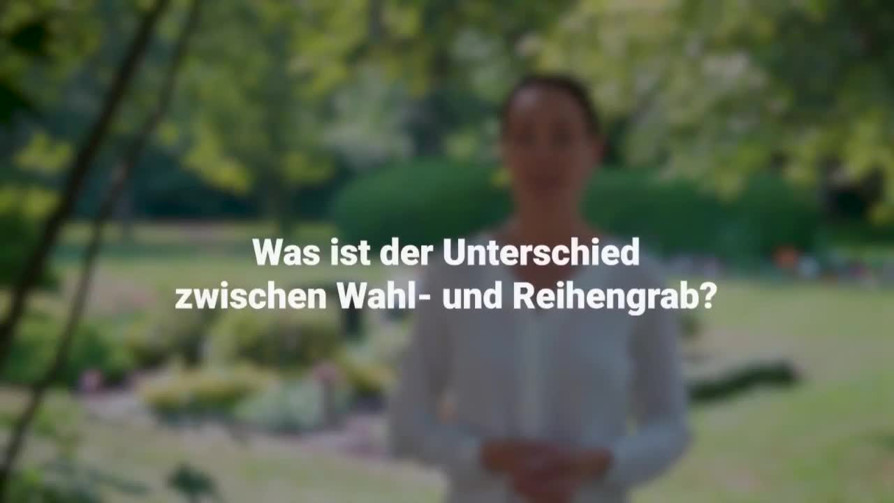Erklärung im Video