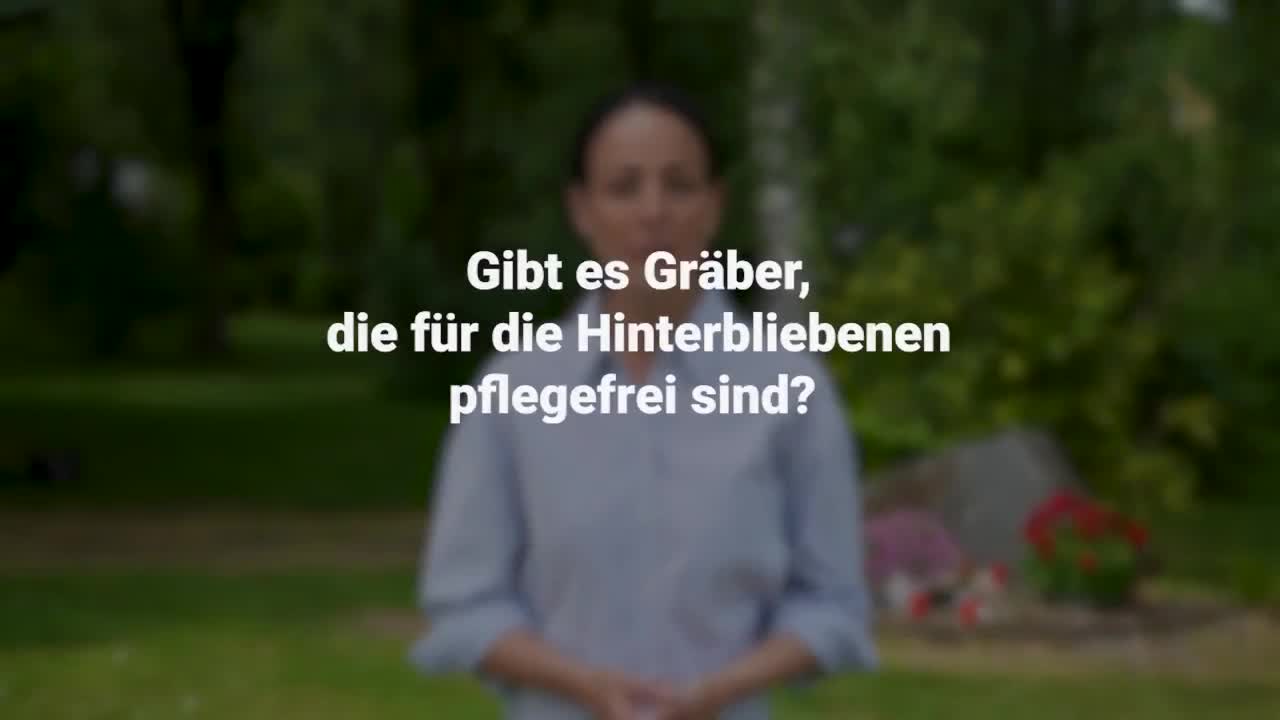 Erklärung im Video
