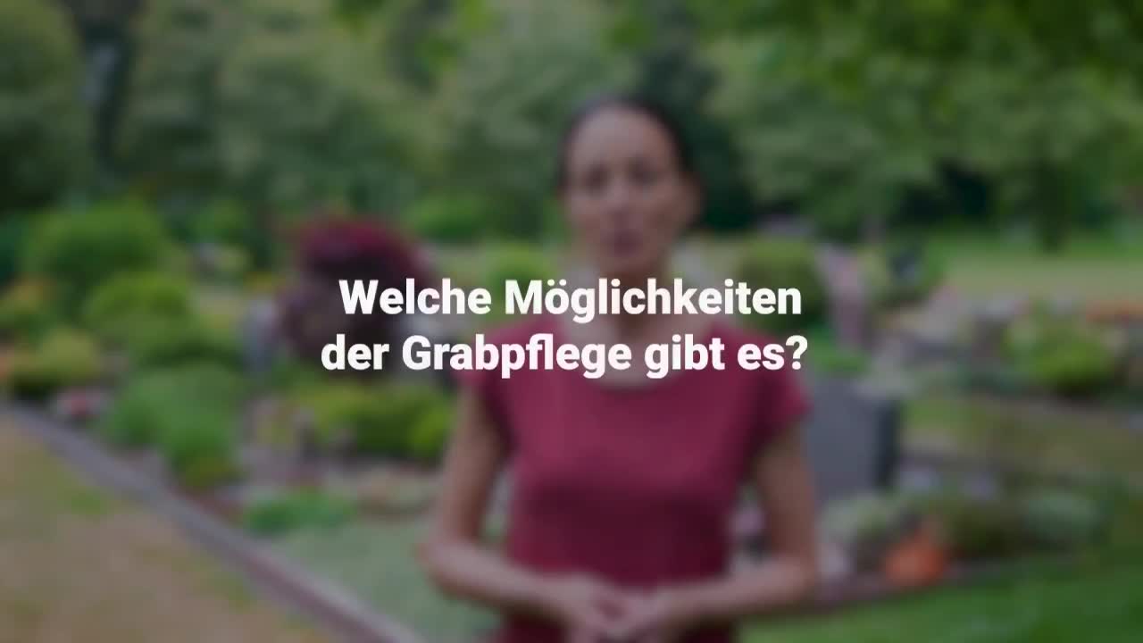 Erklärung im Video