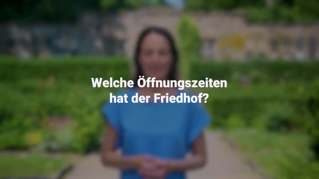 Erklärung im Video