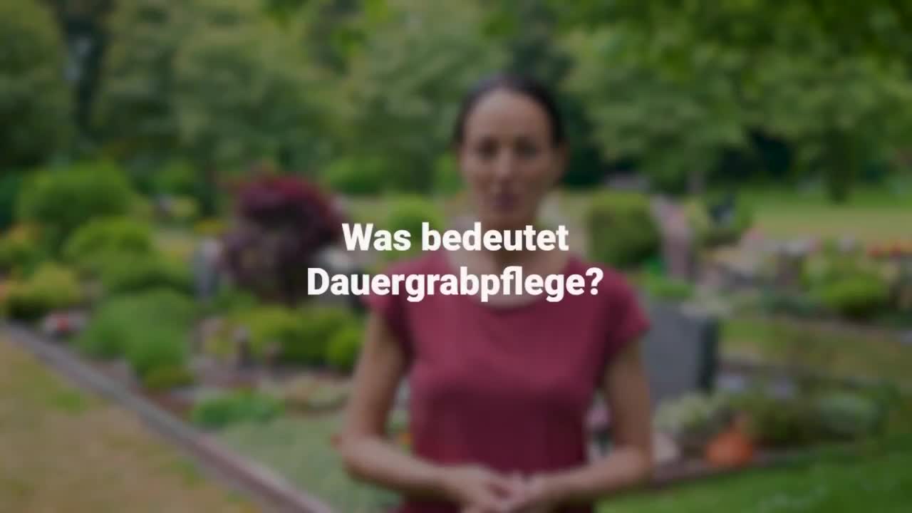 Erklärung im Video