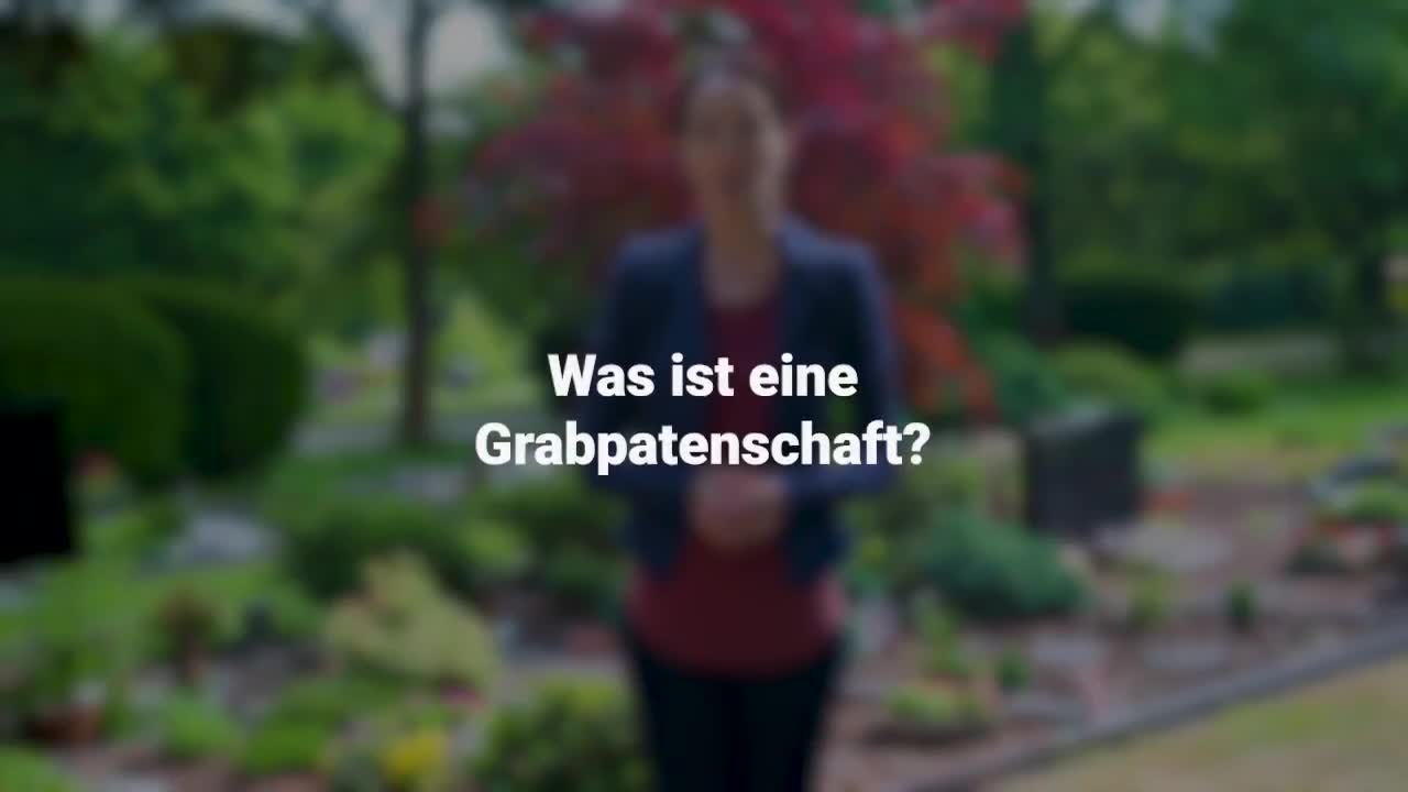 Erklärung im Video