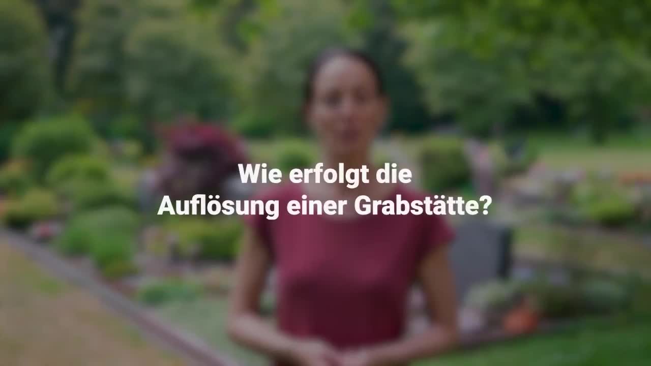 Erklärung im Video
