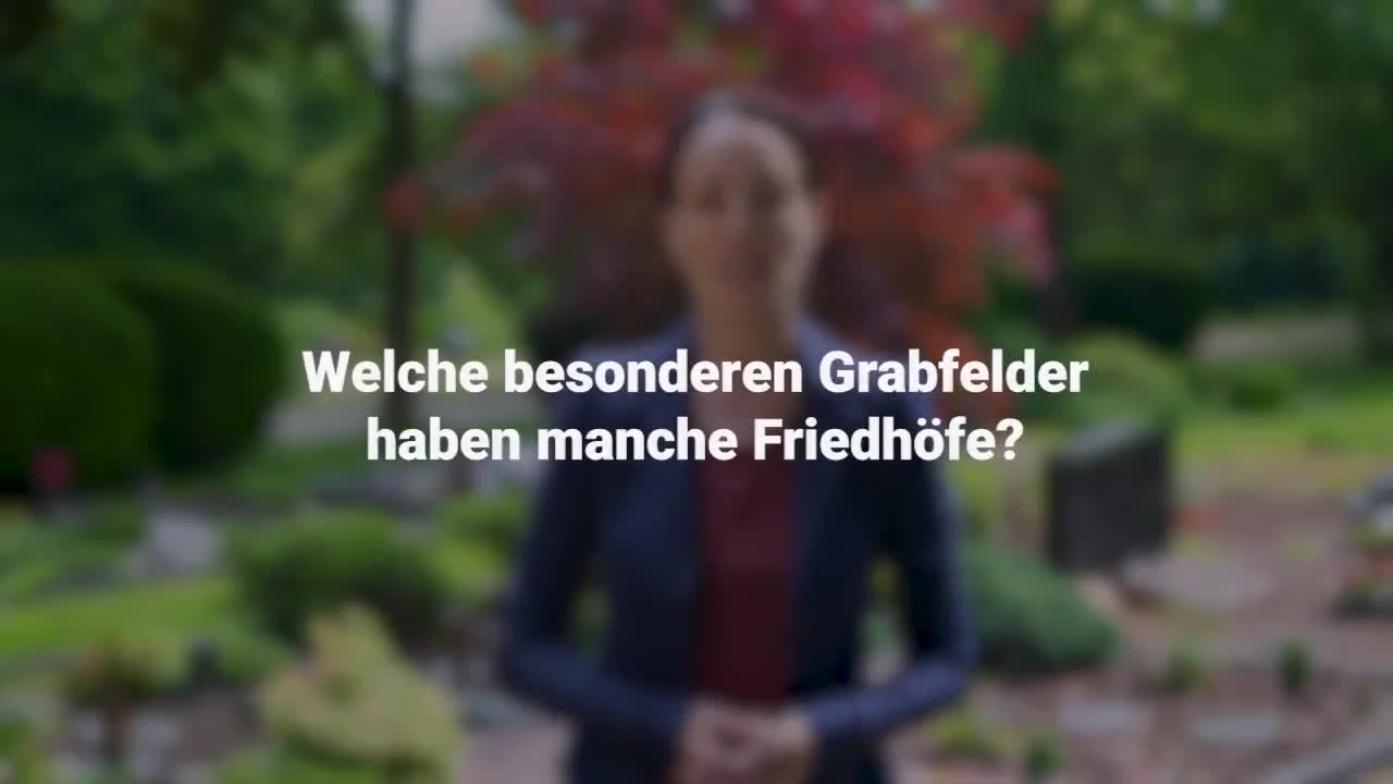 Eklärung im Video